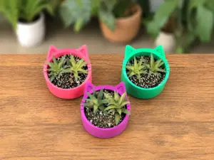 Cat Ears Succulent Planter