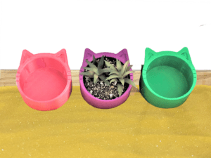 Cat Ears Succulent Pot