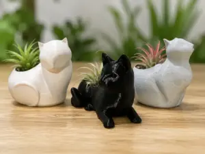 Cat Succulent Planters