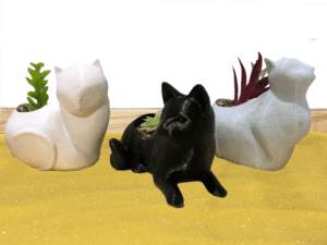 Cats Succulent Pots