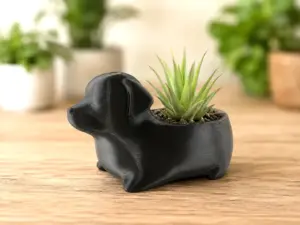 Cute Dachshund Succulent Planter