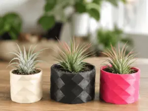 Diamond Design Round Succulent Planter