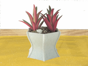 Elegant Fluted Succulent Pot