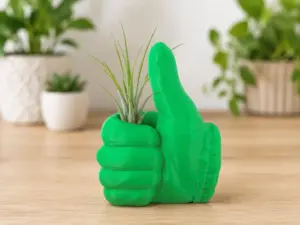 Green Thumb Succulent Planter