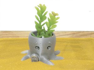 Octopus Succulent Pot