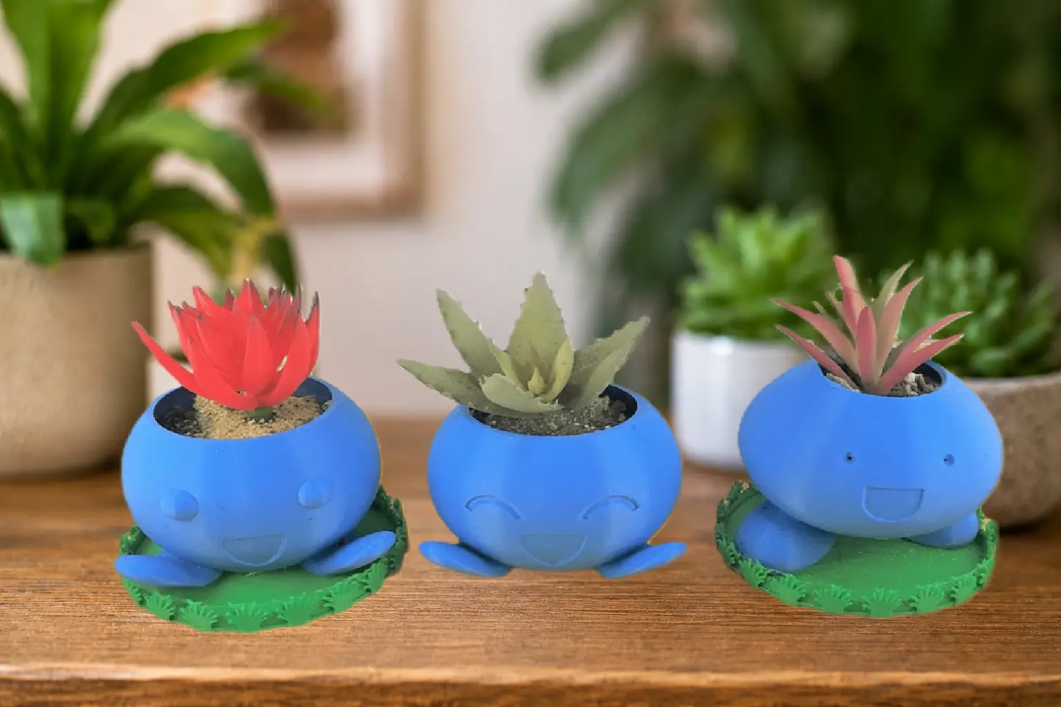 Oddish Succulent Planters