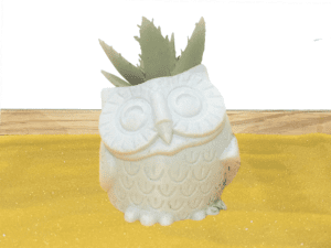 Owl Succulent Pot