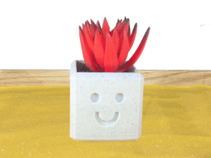 Smiley Face Succulent Pot