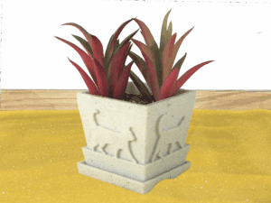 Square Cat Succulent Pot