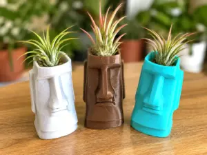 Tiki Head Succulent Planter