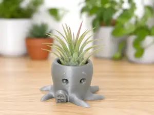 Waving Octopus Succulent Planter