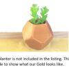 Cute Baby Elephant Succulent Planter Pot - 3D Printed Elephant Planter - Flower Pot For Succulents - Air Plant Holders - Image 8