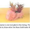 Cute Baby Elephant Succulent Planter Pot - 3D Printed Elephant Planter - Flower Pot For Succulents - Air Plant Holders - Image 10