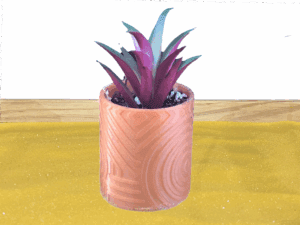 Bullseye Design Succulent Pot