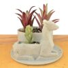 Deer Planter With Pot - 3D Printed Animal Planters - Double Planters- Flower Pot For Succulents - Image 3