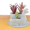 Deer Planter With Pot - 3D Printed Animal Planters - Double Planters- Flower Pot For Succulents