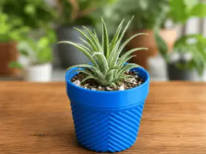 Diagonals Round Succulent Planter