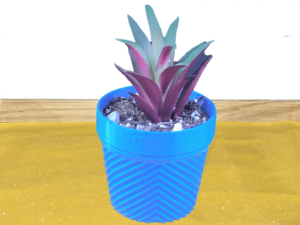 Diagonals Succulent Pot