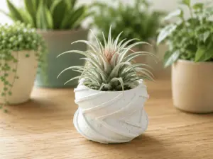 Double Round Succulent Planter