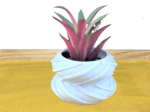 Double Round Succulent Pot