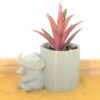 Cute Baby Elephant Succulent Planter Pot - 3D Printed Elephant Planter - Flower Pot For Succulents - Air Plant Holders
