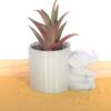 Cute Baby Elephant Succulent Planter Pot - 3D Printed Elephant Planter - Flower Pot For Succulents - Air Plant Holders - Image 2