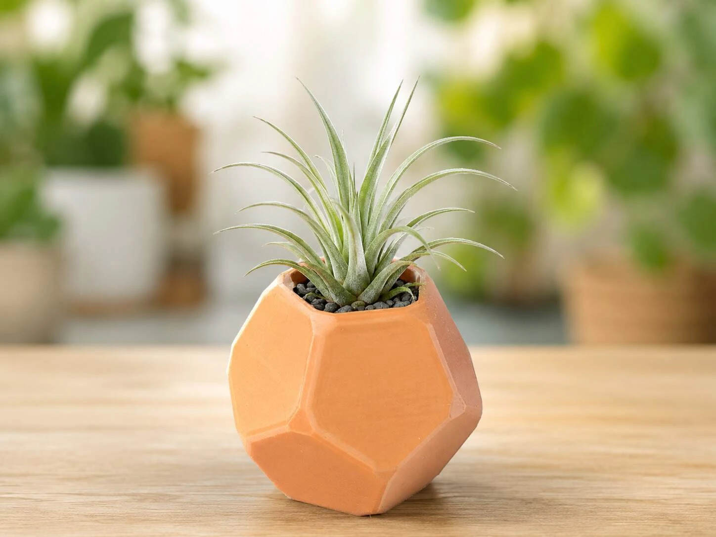 Geometric Megaminx Succulent Planter