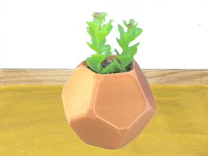 Geometric Megaminx Succulent Pot