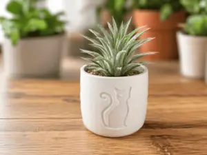 Halloween Cat Succulent Planter