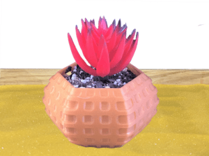 Honeycomb Succulent Pot
