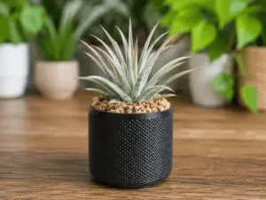 Mesh Look Basket Succulent Planter