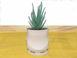 Round Succulent Pot With Feet
