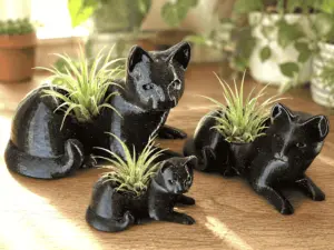 Black Cat Succulent Planters