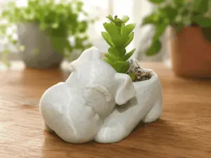 Airedale Succulent Planter
