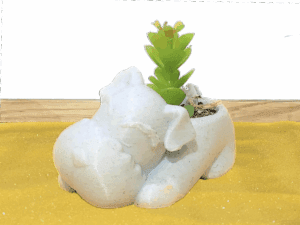 Airedale Succulent Pot Planter