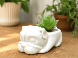 Bulldog Succulent Planter