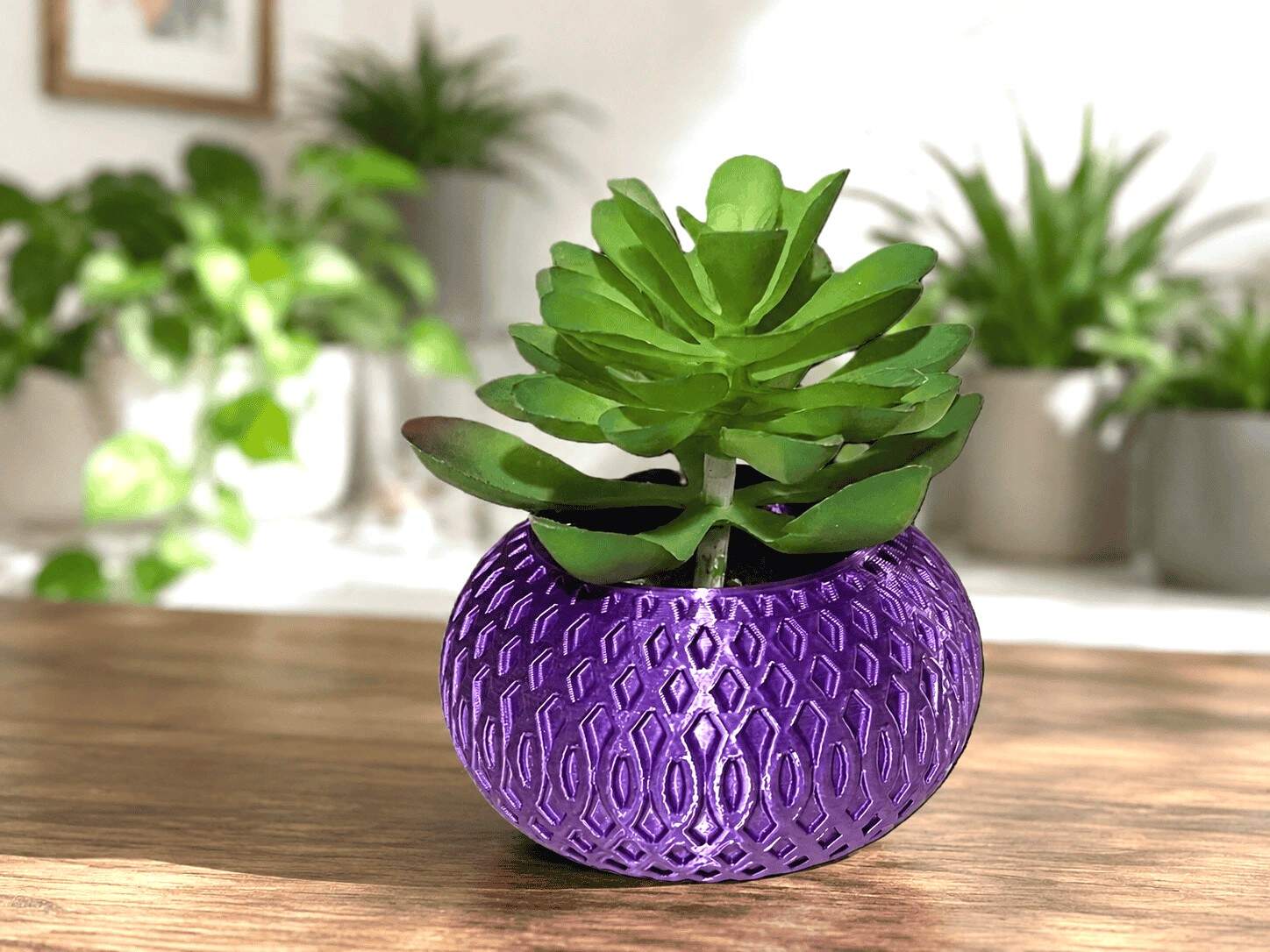 Diamonds Design Succulent Planter