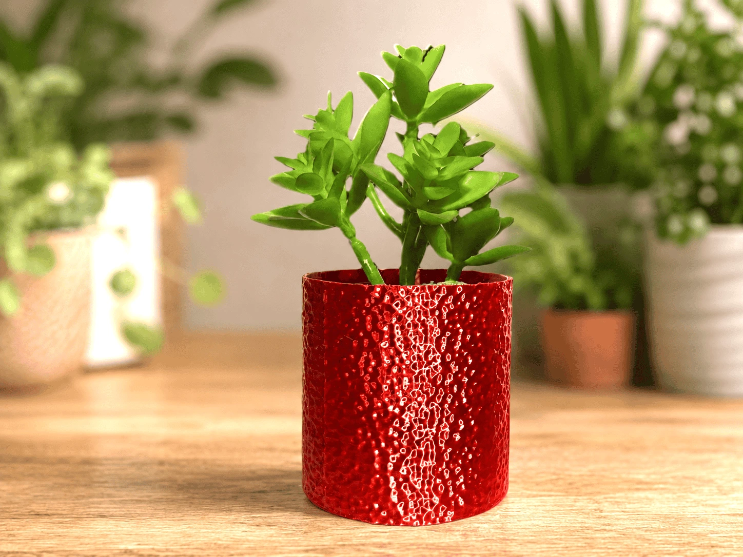 Textured Succulent Planter
