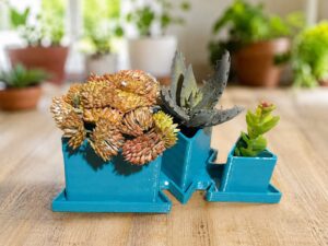 Triple Pot Succulent Planter
