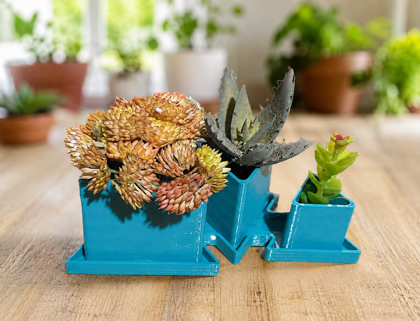 Triple Pot Succulent Planter