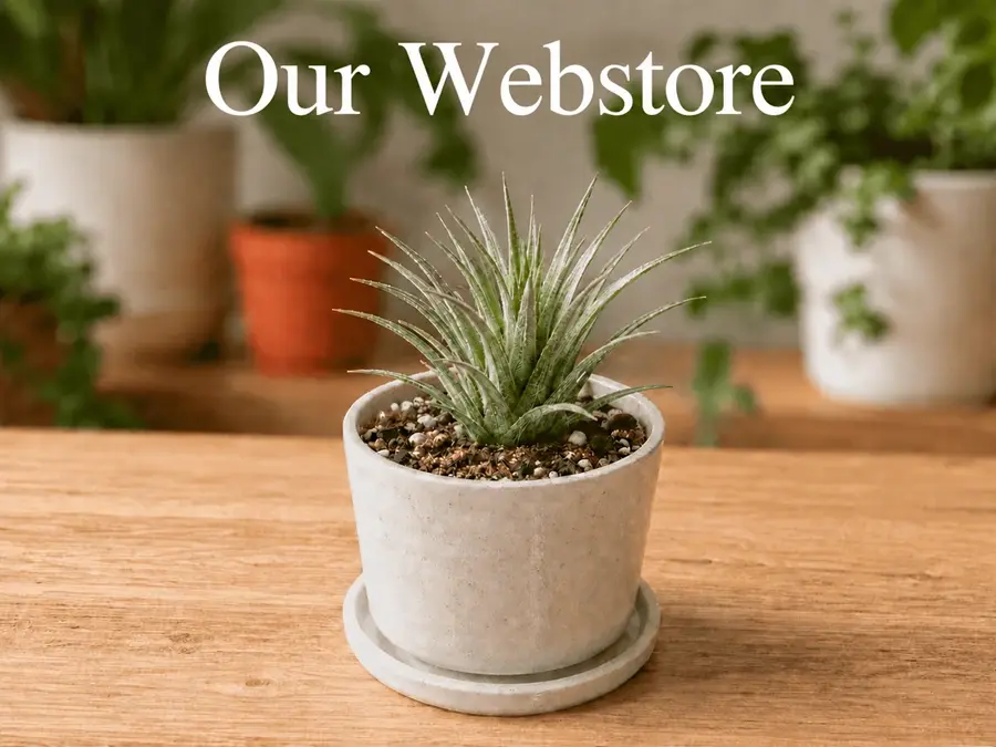 SucculentPlanter.com Webstore